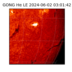 gong - 2024-06-02T03:01:42