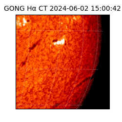 gong - 2024-06-02T15:00:42