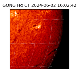 gong - 2024-06-02T16:02:42