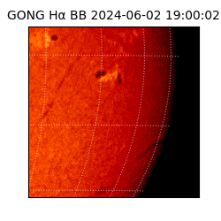 gong - 2024-06-02T19:00:02