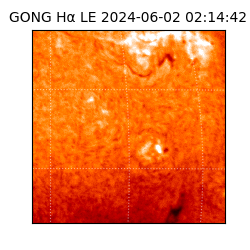 gong - 2024-06-02T02:14:42