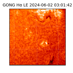 gong - 2024-06-02T03:01:42