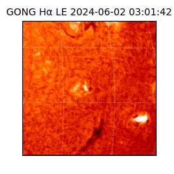 gong - 2024-06-02T03:01:42