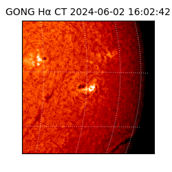 gong - 2024-06-02T16:02:42