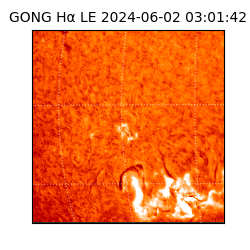 gong - 2024-06-02T03:01:42