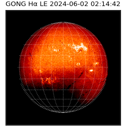 gong - 2024-06-02T02:14:42