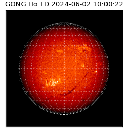 gong - 2024-06-02T10:00:22