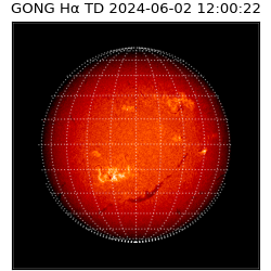 gong - 2024-06-02T12:00:22