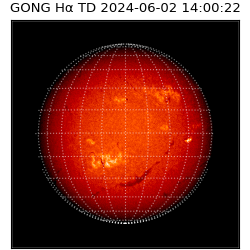 gong - 2024-06-02T14:00:22