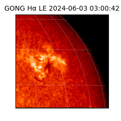 gong - 2024-06-03T03:00:42