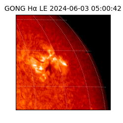 gong - 2024-06-03T05:00:42