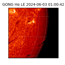 gong - 2024-06-03T01:00:42