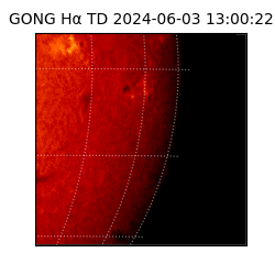 gong - 2024-06-03T13:00:22