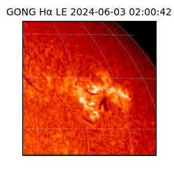 gong - 2024-06-03T02:00:42