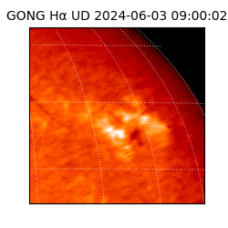 gong - 2024-06-03T09:00:02