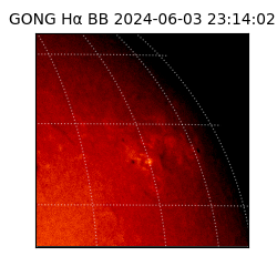 gong - 2024-06-03T23:14:02