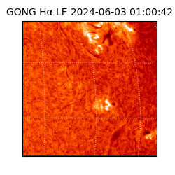 gong - 2024-06-03T01:00:42