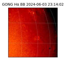 gong - 2024-06-03T23:14:02