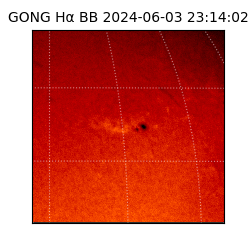 gong - 2024-06-03T23:14:02