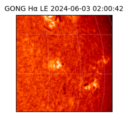 gong - 2024-06-03T02:00:42