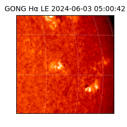 gong - 2024-06-03T05:00:42