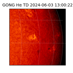 gong - 2024-06-03T13:00:22