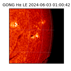 gong - 2024-06-03T01:00:42