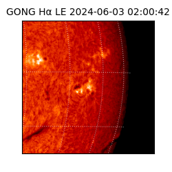 gong - 2024-06-03T02:00:42