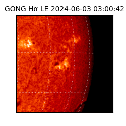 gong - 2024-06-03T03:00:42