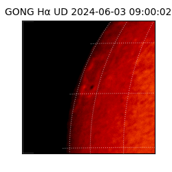 gong - 2024-06-03T09:00:02