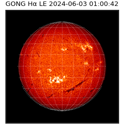 gong - 2024-06-03T01:00:42