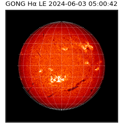 gong - 2024-06-03T05:00:42