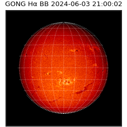 gong - 2024-06-03T21:00:02