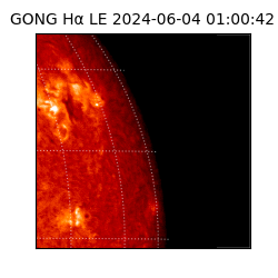 gong - 2024-06-04T01:00:42