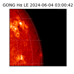 gong - 2024-06-04T03:00:42