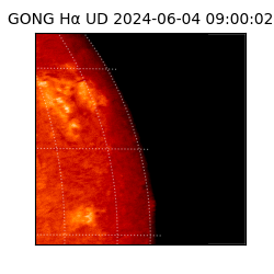 gong - 2024-06-04T09:00:02