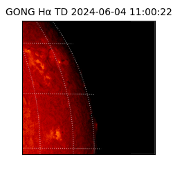 gong - 2024-06-04T11:00:22