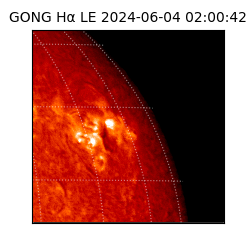 gong - 2024-06-04T02:00:42