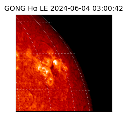 gong - 2024-06-04T03:00:42