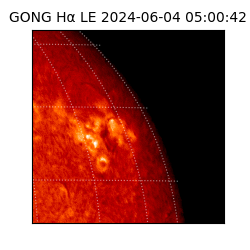 gong - 2024-06-04T05:00:42