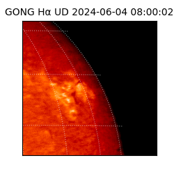 gong - 2024-06-04T08:00:02