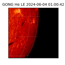 gong - 2024-06-04T01:00:42