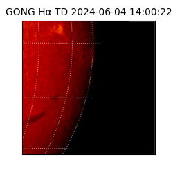 gong - 2024-06-04T14:00:22