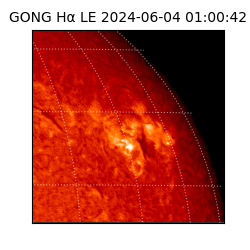 gong - 2024-06-04T01:00:42