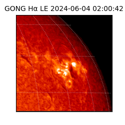 gong - 2024-06-04T02:00:42