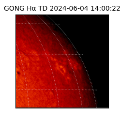 gong - 2024-06-04T14:00:22