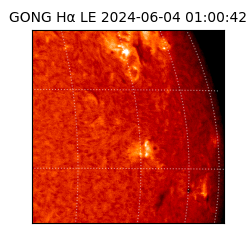 gong - 2024-06-04T01:00:42