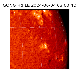 gong - 2024-06-04T03:00:42