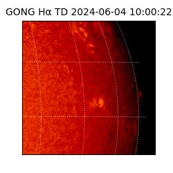 gong - 2024-06-04T10:00:22