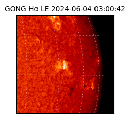 gong - 2024-06-04T03:00:42